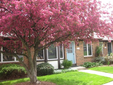 Front 1