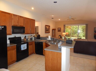 10963 Acorn Park Ct, Jacksonville, FL 32218 - photo 6