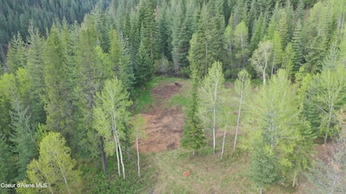 NKA McBaine Loop
