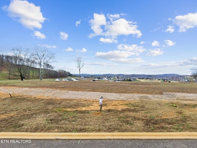 135 Magnolia Hill, Loudon, TN 37774 - photo 4