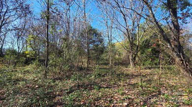 00000 Reepsville Rd, Vale, NC 28168 - photo 4