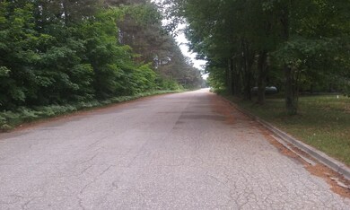 14314 Brooks St, Kaleva, MI 49645 - photo 7