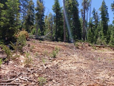 Middle of property