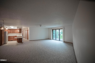 3333 Montreal St unit 304, Bismarck, ND 58503 - photo 4