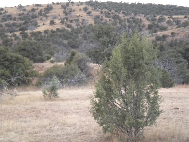 Southerly View