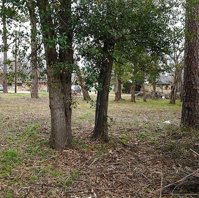 8115 Autumn Ln, Houston, TX 77016 - photo 7