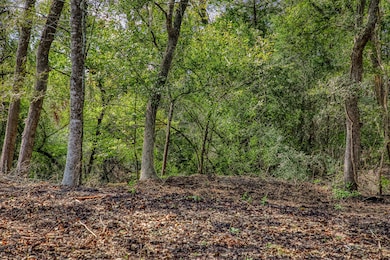 Tract 5 Sun Oil Rd, Brenham, TX 77833 - photo 7