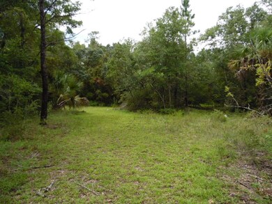 0 Hoot Owl Hollow unit 309105, Crawfordville, FL 32327 - photo 3