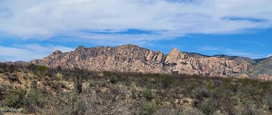 2892 N Middlemarch Rd, Tombstone, AZ 85638 - photo 4
