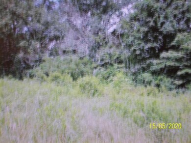 0 Redbird Ln, Rutledge, TN 37861 - photo 6