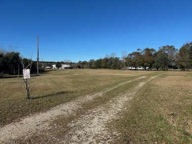 NHN Werner Rd, Picayune, MS 39466 - photo 2