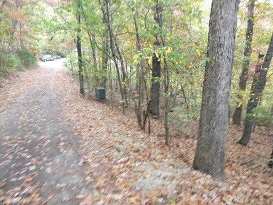 000 Fox Fire Knoll Dr, Kimberling City, MO 65686 - photo 3