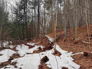 0 Cross Rd unit 5002245, Jay, VT 05859 - photo 7