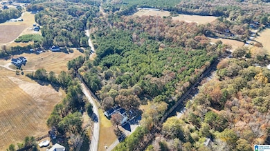 0 Eureka Rd unit 21437192, Lincoln, AL 35096 - photo 7