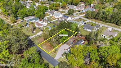 mls-DJI_20250411104936_0635_D_1