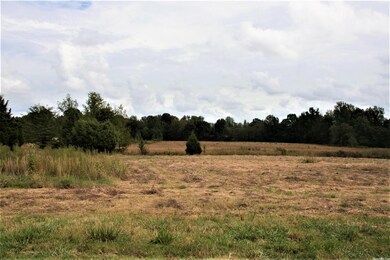 14.35 Acres + - Cr 766, Jonesboro, AR 72405 - photo 7