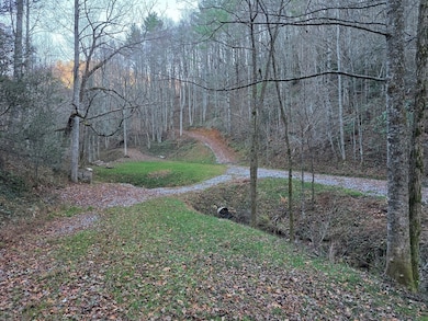 3192 Pumpkintown Rd, Sylva, NC 28779 - photo 2