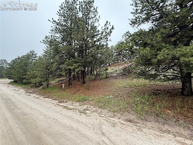 View of dirt / gravel road
