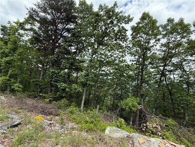 View of wooded area