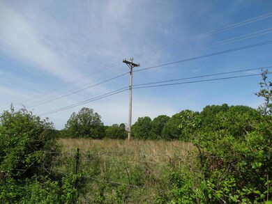 14.50ac Old Wilderness Rd, Reeds Spring, MO 65737 - photo 3