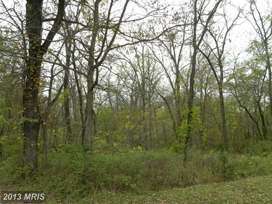 0 Jamestown Rd unit 1003748948, Summit Point, WV 25446 - photo 6