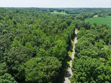 0 Batson Rd, Cumberland Furnace, TN 37051 - photo 7