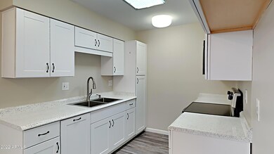 10739 W Santa fe Dr, Sun City, AZ 85351 - photo 4