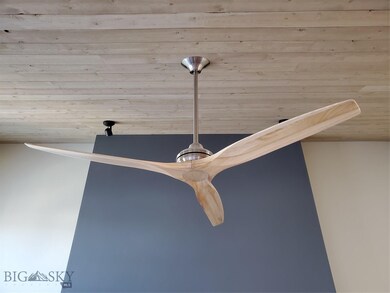 Custom living room ceiling fan