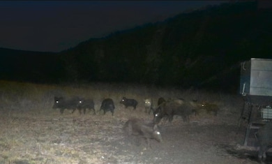 TBD Private Road 2705, Uvalde, TX 78801 - photo 4