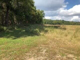 00 S Jenks Rd, Covington, IN 47932 - photo 4