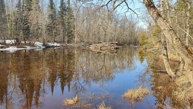 View of water feature featuring a wooded view