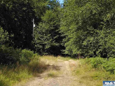 9999 N Eldridge, Sequim, WA 98382 - photo 6