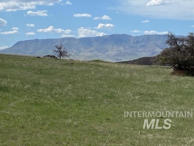 4001 Harmony Ln, Emmett, ID 83617 - photo 7