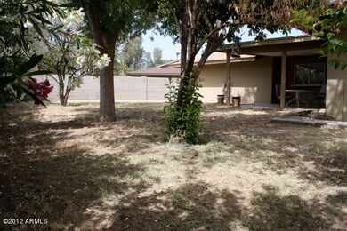 Backyard 2