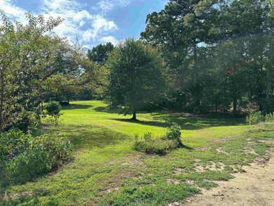 4437 Highway 7, Bismarck, AR 71929 - photo 4