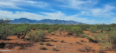 TBD 40 AC Ronald Reagan Pkwy, Whetstone, AZ 85616 - photo 2