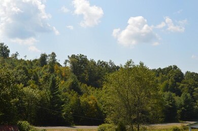 DSC_0305 (800x532)