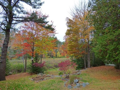 yard looking towards the brook.
