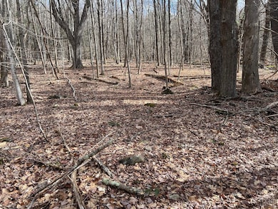 0 Route 23a unit 20253899, Lexington, NY 12452 - photo 7