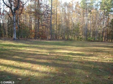 Yard/Garden - Rear Yard