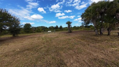 16382 NW 270th St, Okeechobee, FL 34972 - photo 7