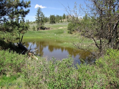 Full Seasonal Pond