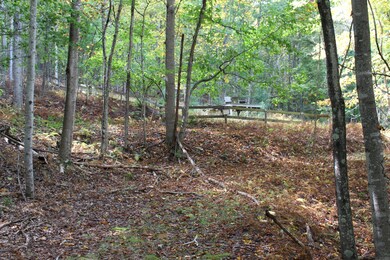 Existing hunting stand