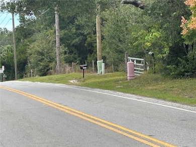 3427 Golden Gem Rd, Apopka, FL 32712 - photo 4