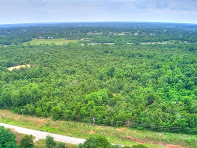 Aerial view with a forest view