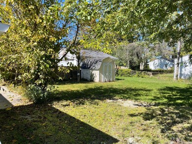 Backyard Pic 1