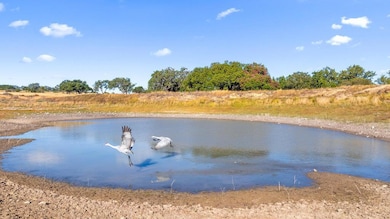 2482 Ranch To Market Road 2721, Johnson City, TX 78636 - photo 3