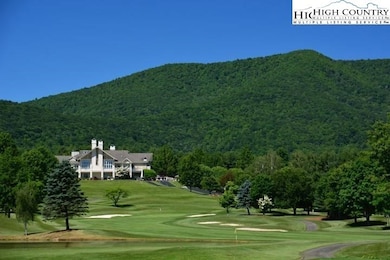 TBD (Lot 41) E Landing Ridge Cir, Jefferson, NC 28640 - photo 6