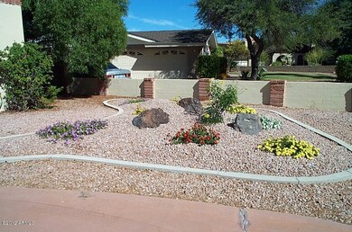 Colorful desert flowers