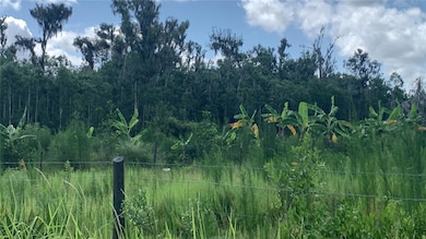 0 Sink Hole Rd unit MFRTB8408113, Bartow, FL 33830 - photo 6